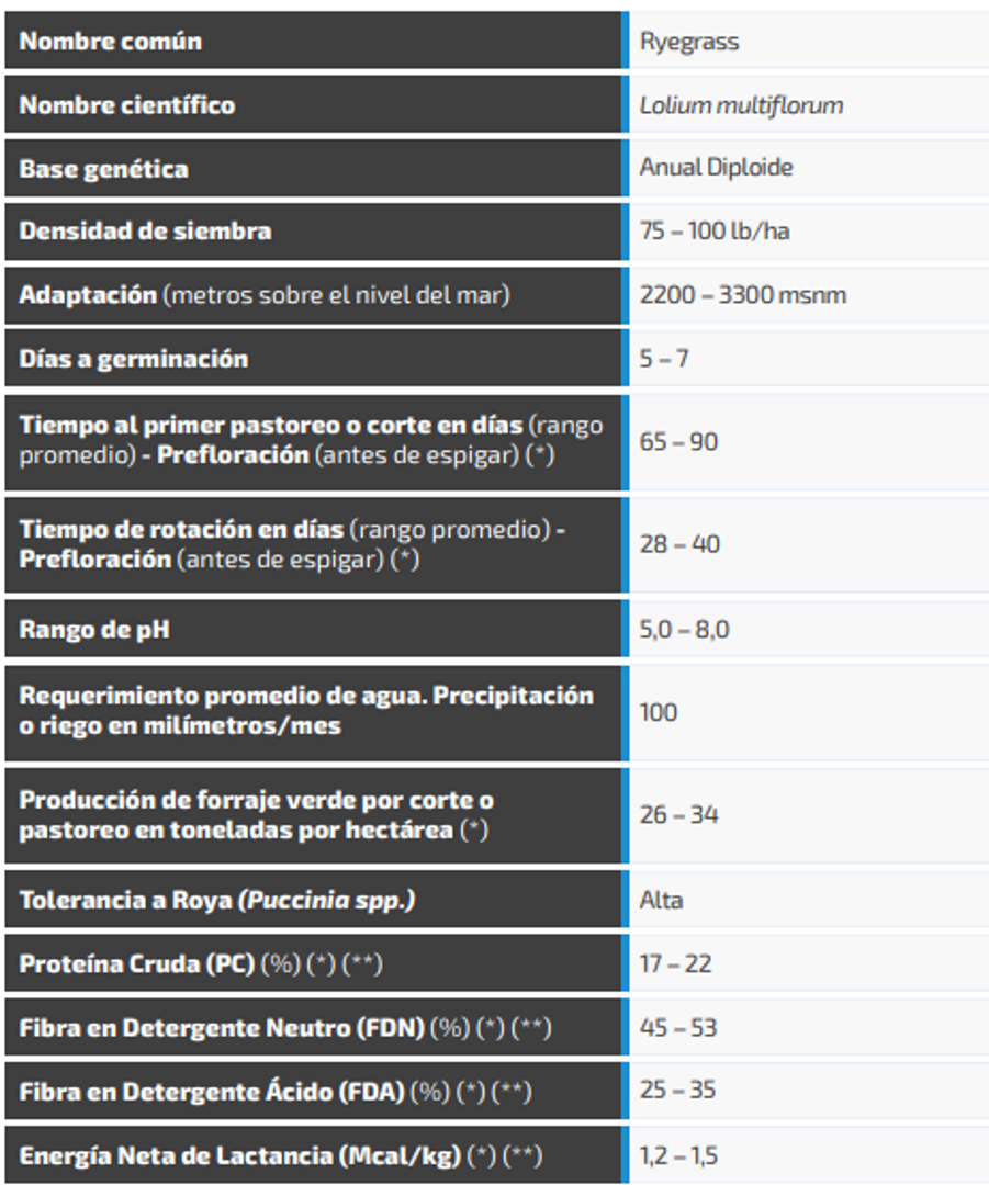 Ryegrass Aeros (Anual diploide) x Kilo