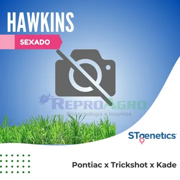 HAWKINS SEXADO - imagen 1