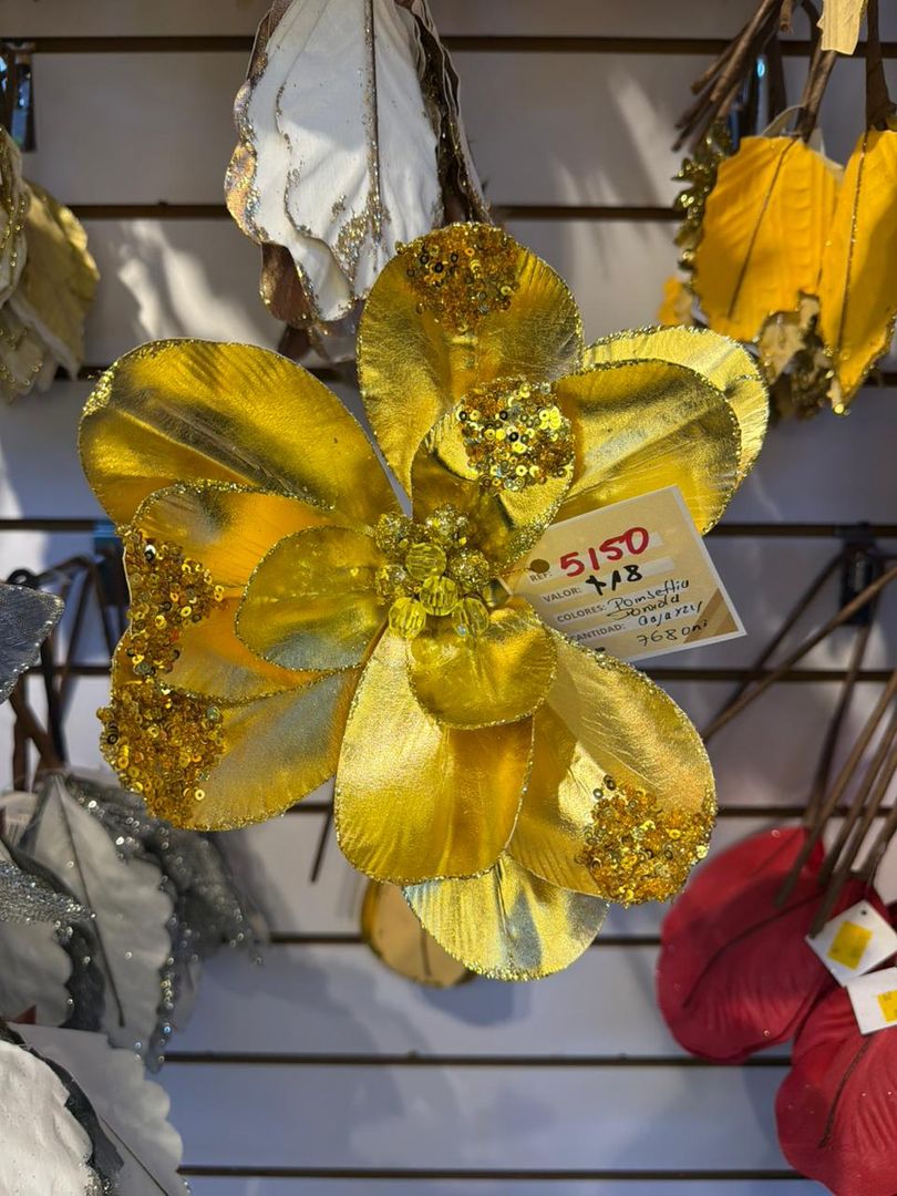 MAGNOLIA DORADA 