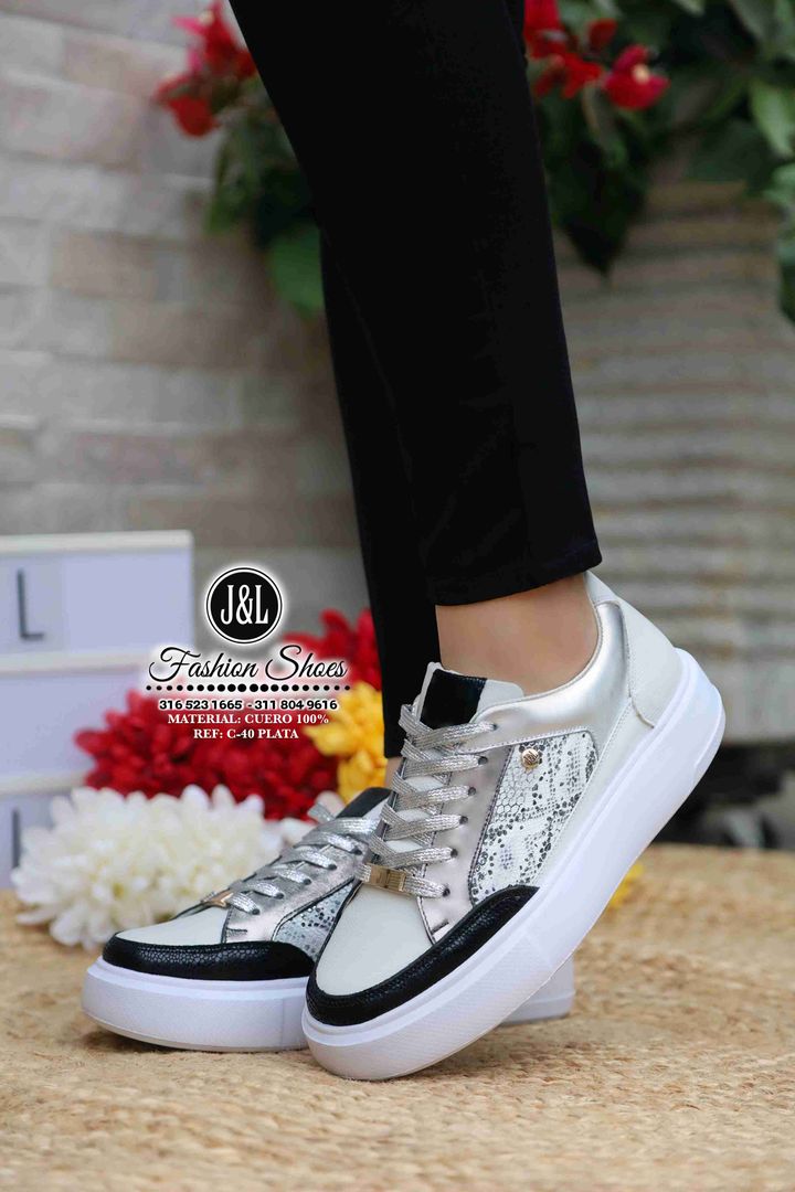 C-40 PLATA