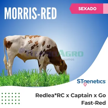 MORRIS- RED SEXADO - imagen 1