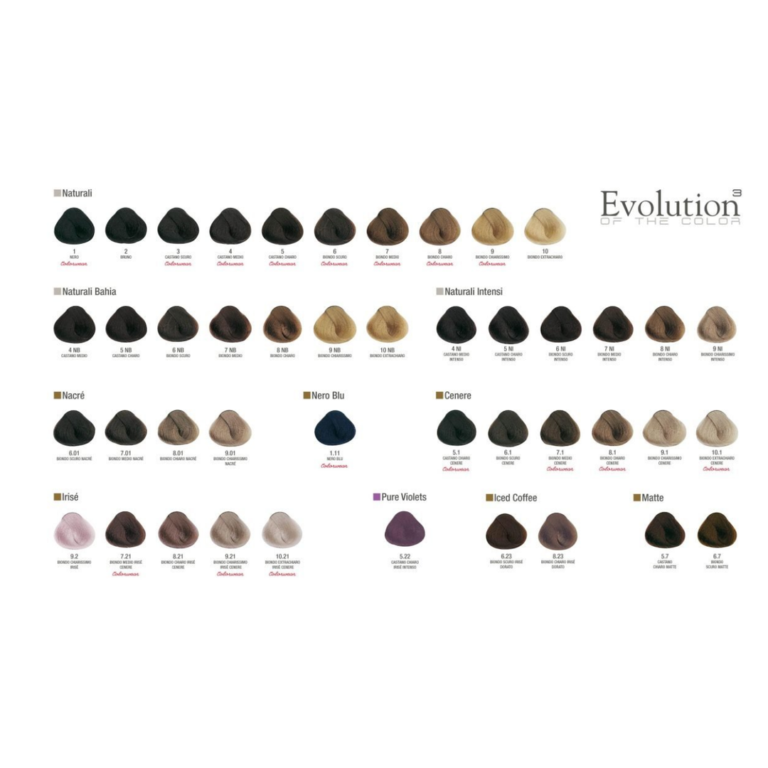 TINTE EVOLUTION OF THE COLOR ALFAPARF