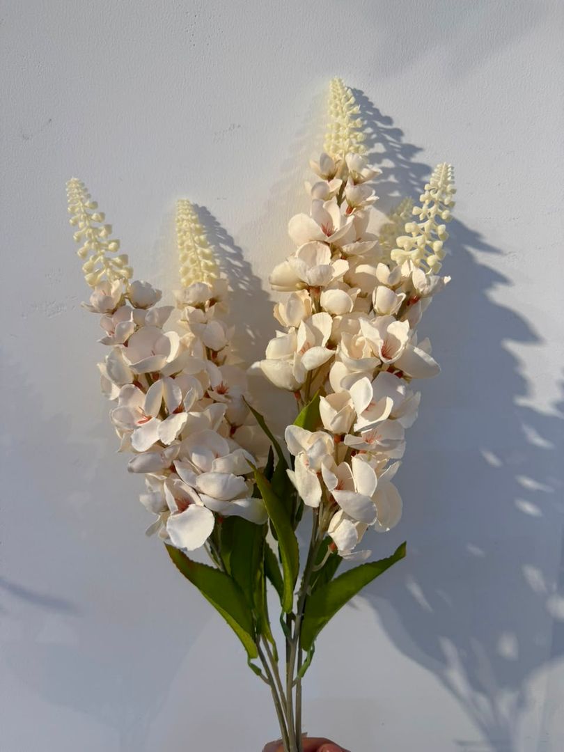 DELFINIO X 5 BLANCO