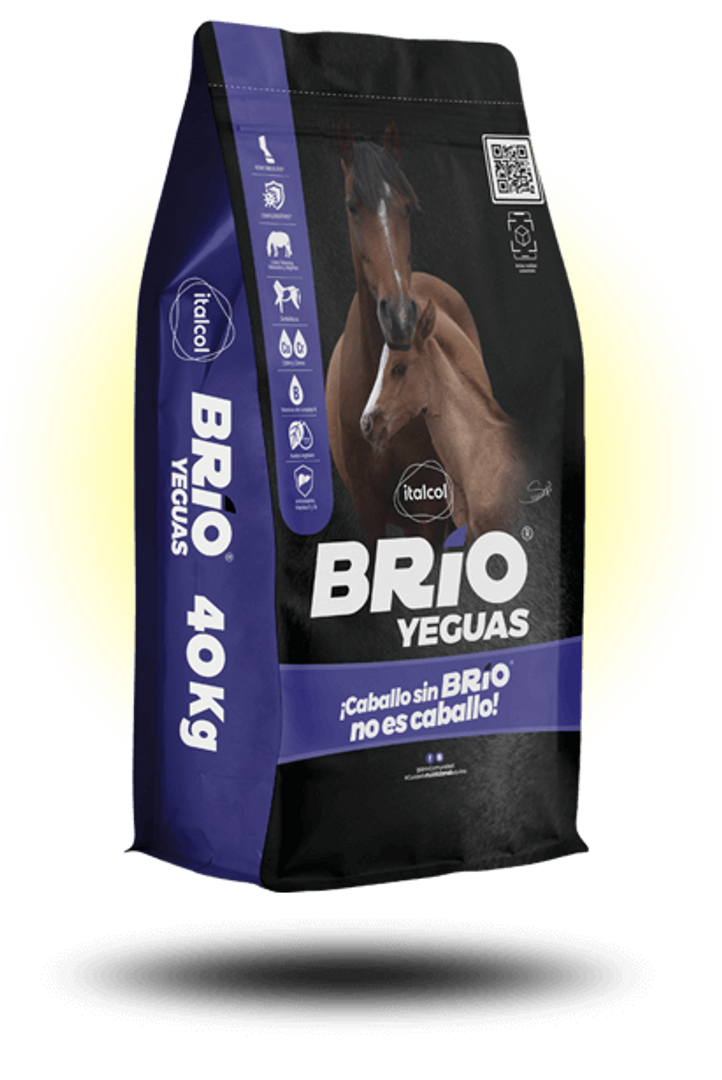 BRIO YEGUAS 40 Kilos