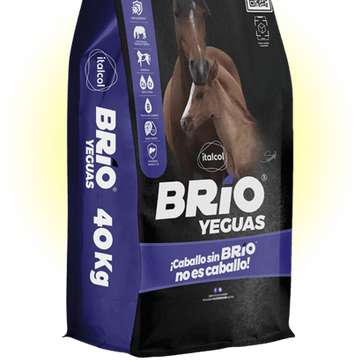 Imagen del producto BRIO YEGUAS 40 Kilos