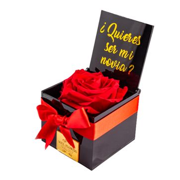 Imagen del producto MINI BOX NEGRO