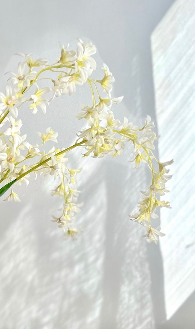 Vara Orquideas Blancas y Amarillas