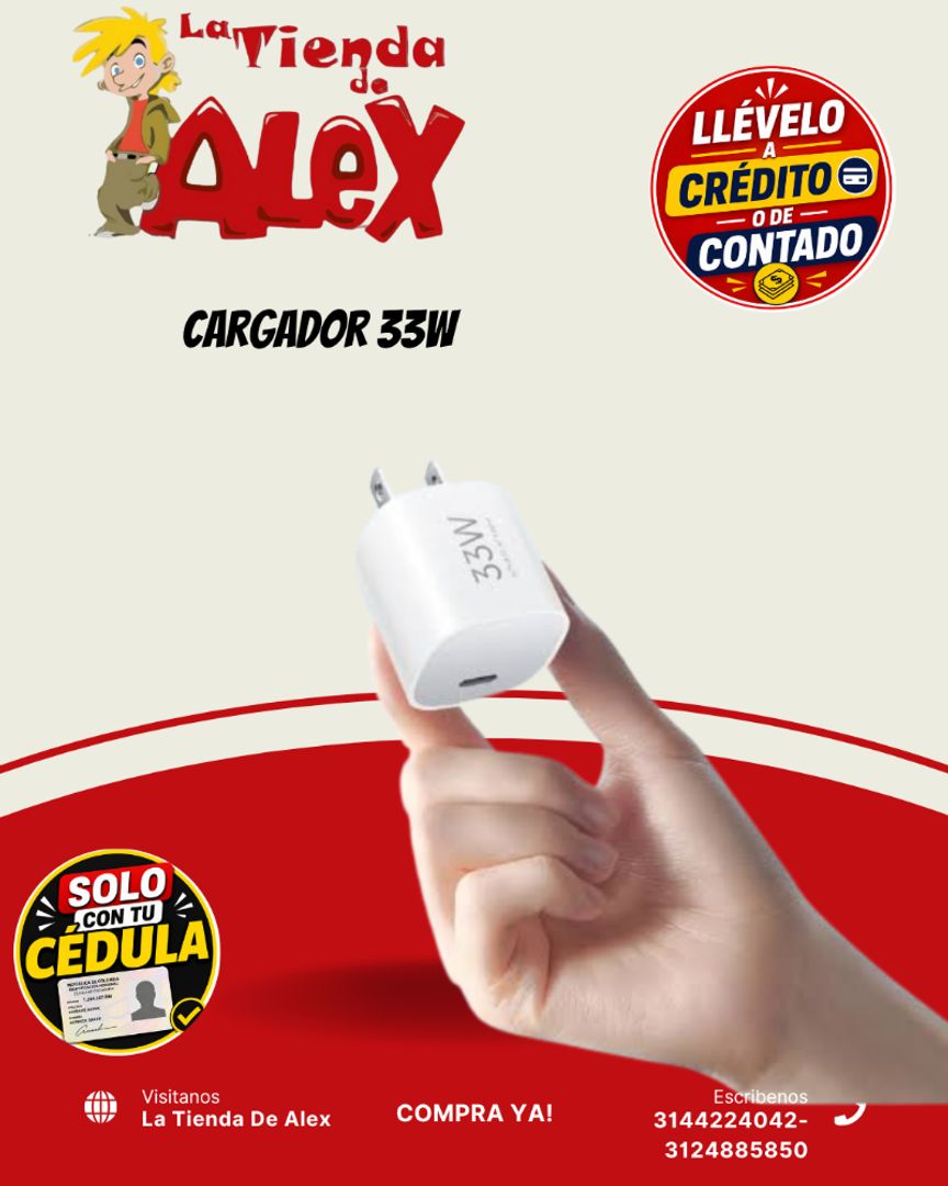 Cargador 33W