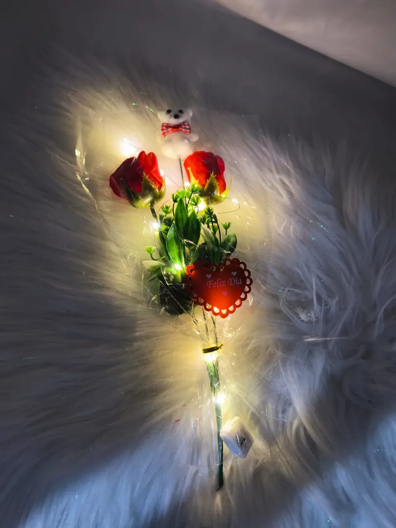 DETALLE OSO LUZ PM316