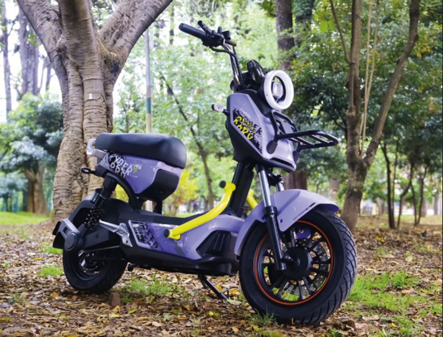 MOTO ELÉCTRICA EVOBIKE MODELO RYDER PRO