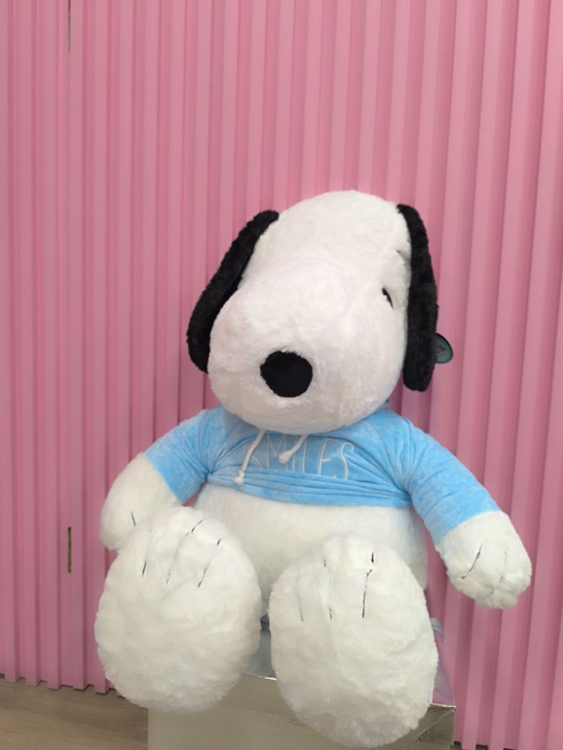 SNOOPY 70CM