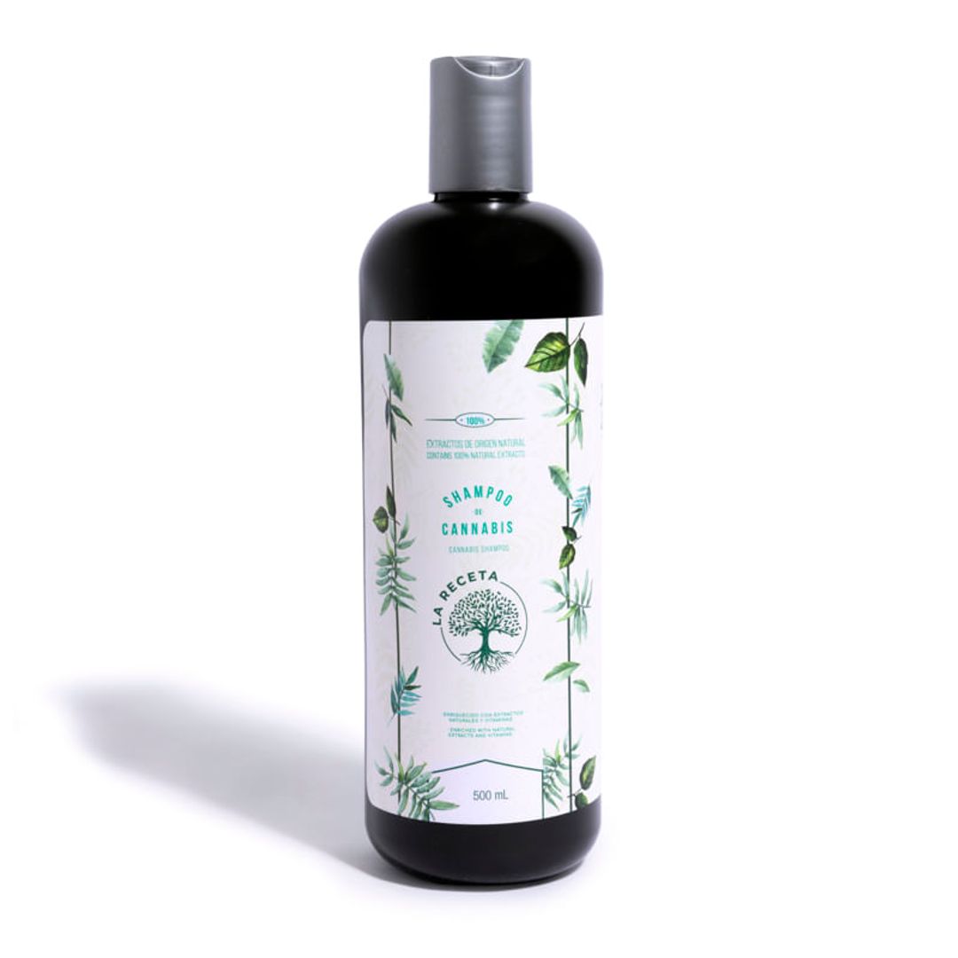 SHAMPOO DE ARGÁN PARA CABELLO SECO LA RECETA 500 ML
