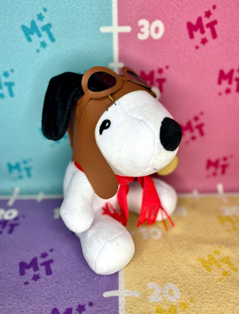 Snoopy piloto A-25