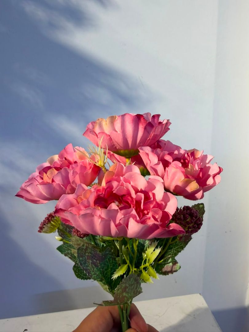 GARDENIA FUCSIA CON VINO