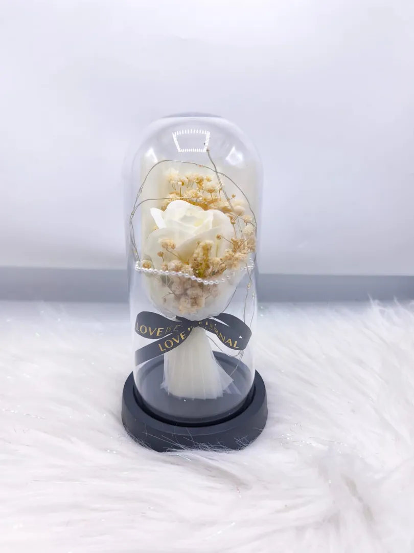 BURBUJA RAMO JM025