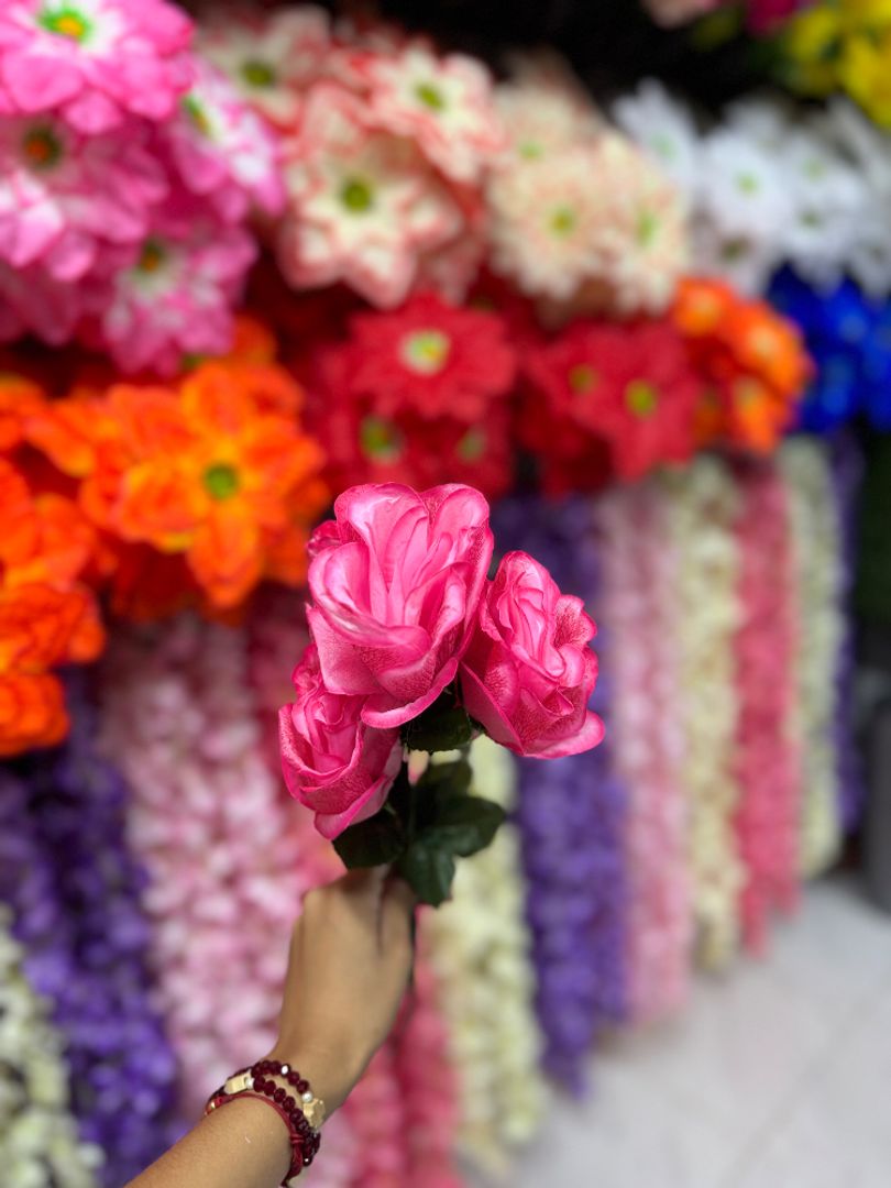 Rosa encanto 