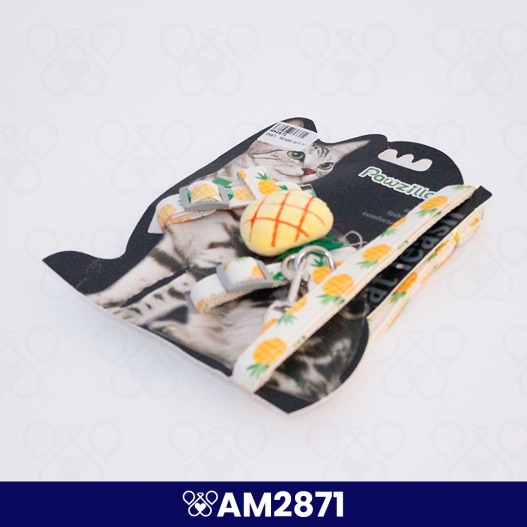 AM2871