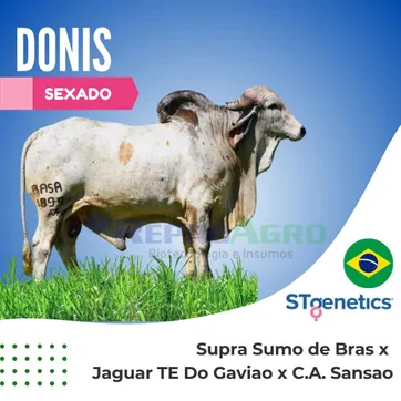 DONIS SEXADO - imagen 1
