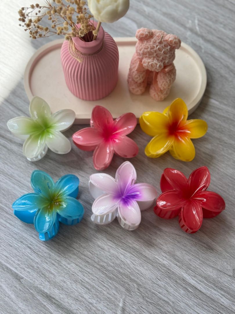 HAWAII TRADICIONAL