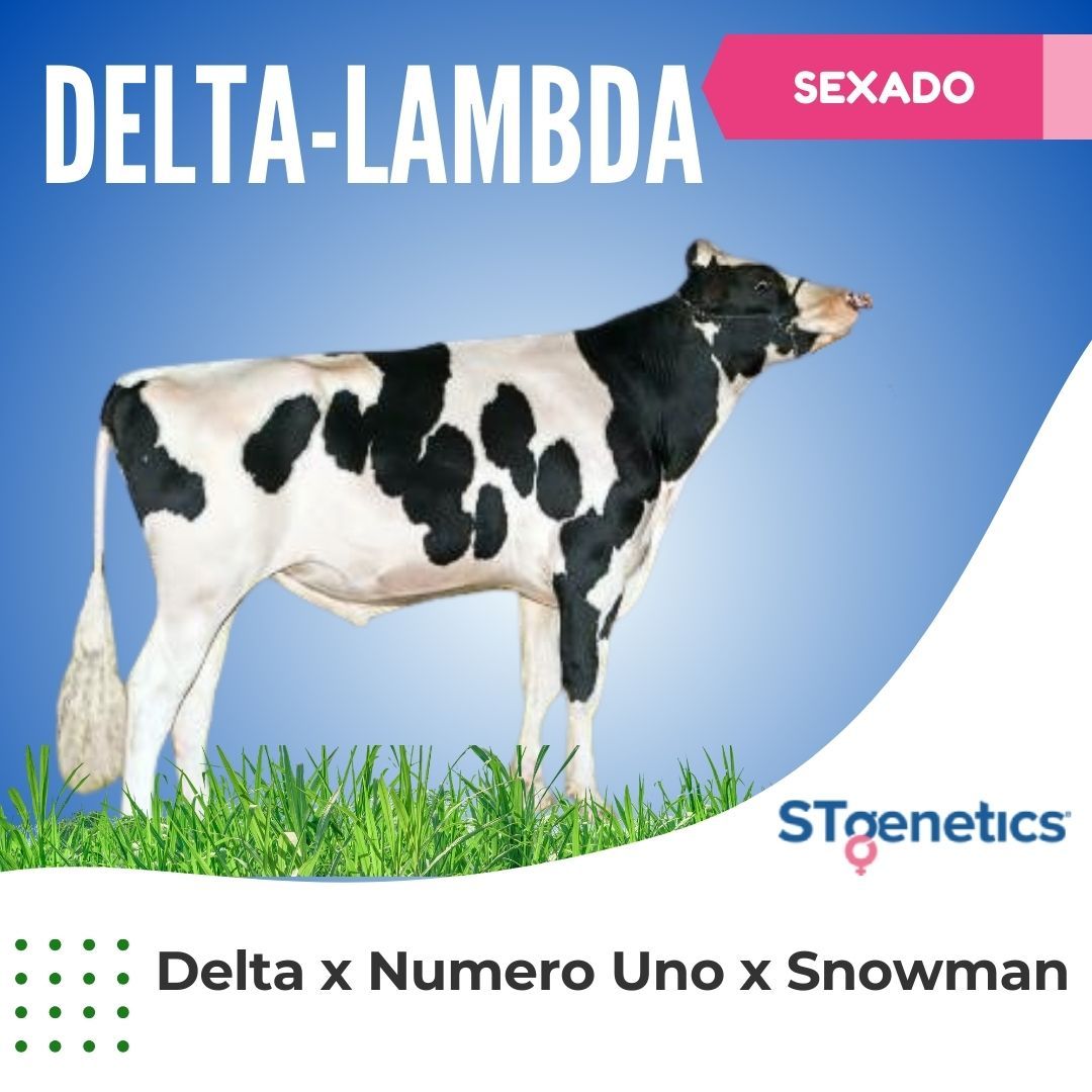 DELTA-LAMBDA SEXADO
