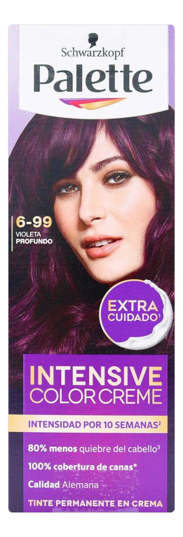 TINTE PALETTE 6-99 VIOLETA PROFUNDO