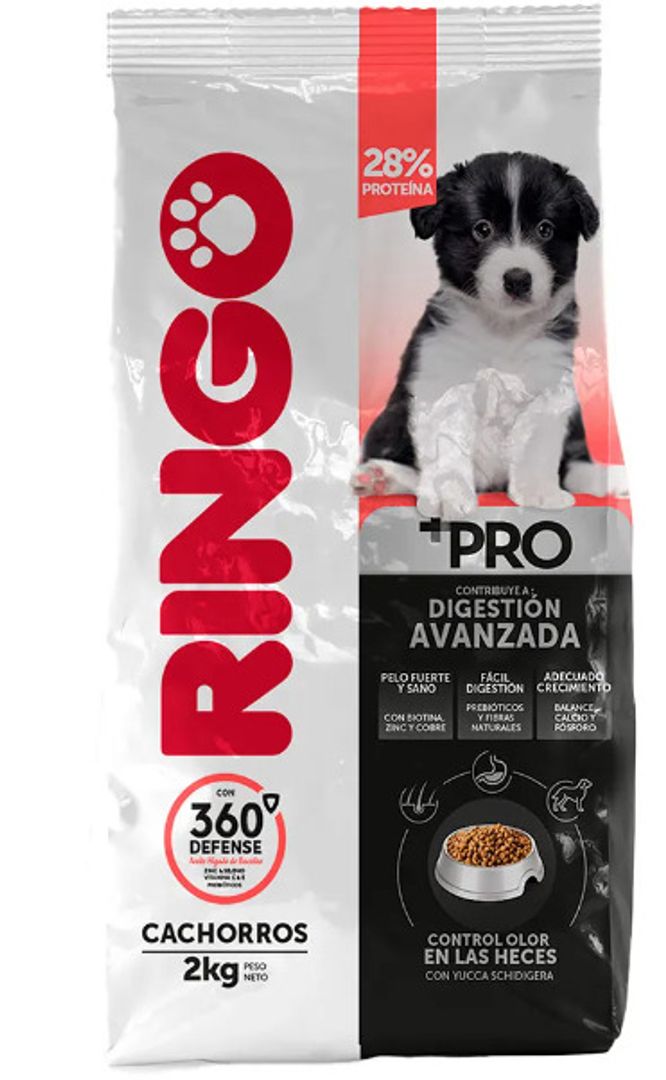 RINGO CHACHORRO +PRO*2KG
