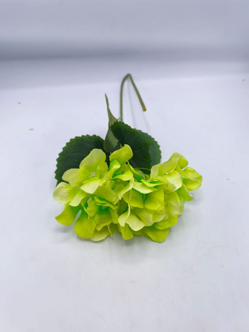 HORTENCIA INDIVIDUAL TG 664