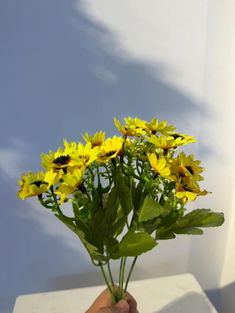 MINI GIRASOL X 5