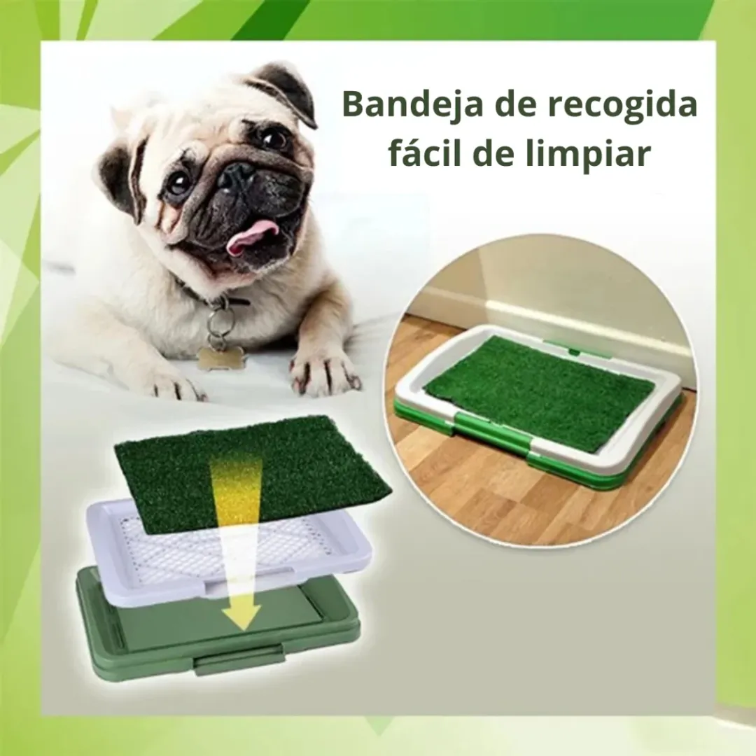 TAPETE BAÑO ENTRENADOR DE MASCOTAS PEQUEÑO