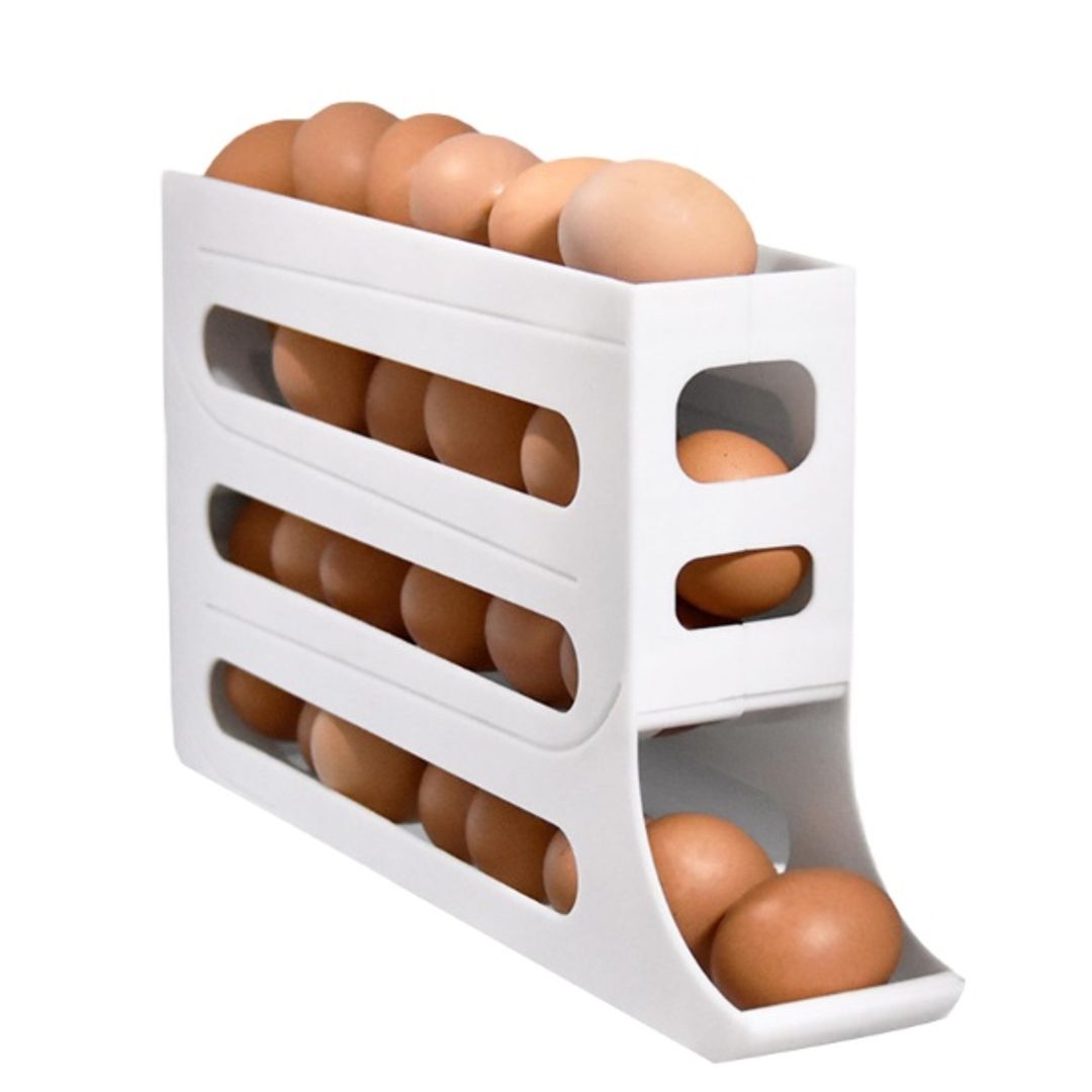 ORGANIZADOR DE HUEVOS 