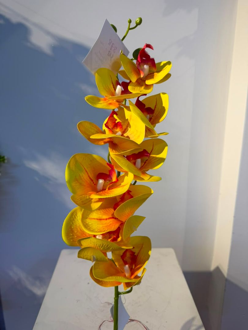 ORQUIDEA EN VARA X 9 AMARILLO CENTRO NARANJA