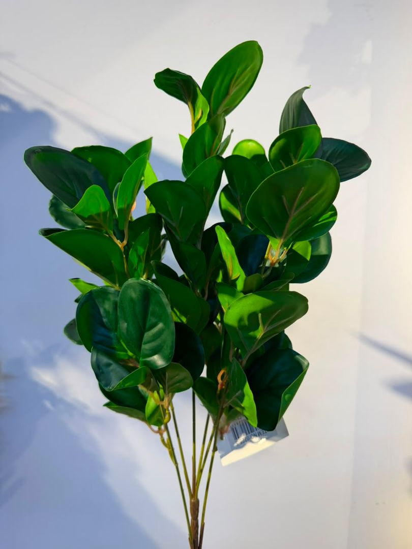 MINI PLANTA DE CAUCHO