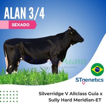ALAN SEXADO - imagen 1