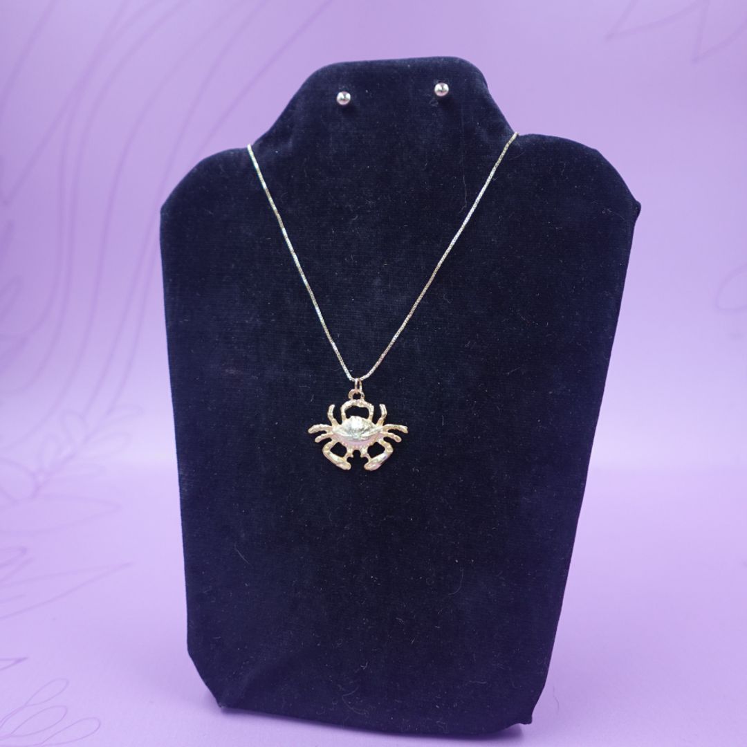 CADENA CANGREJO + ARETA 