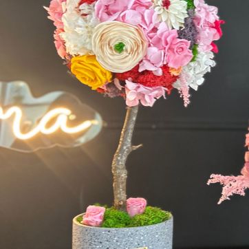 Imagen del producto TOPIARIO SOUL