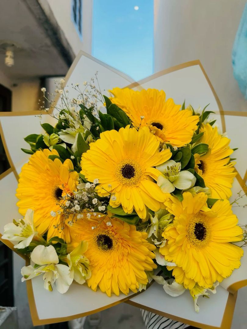 GERBERAS 