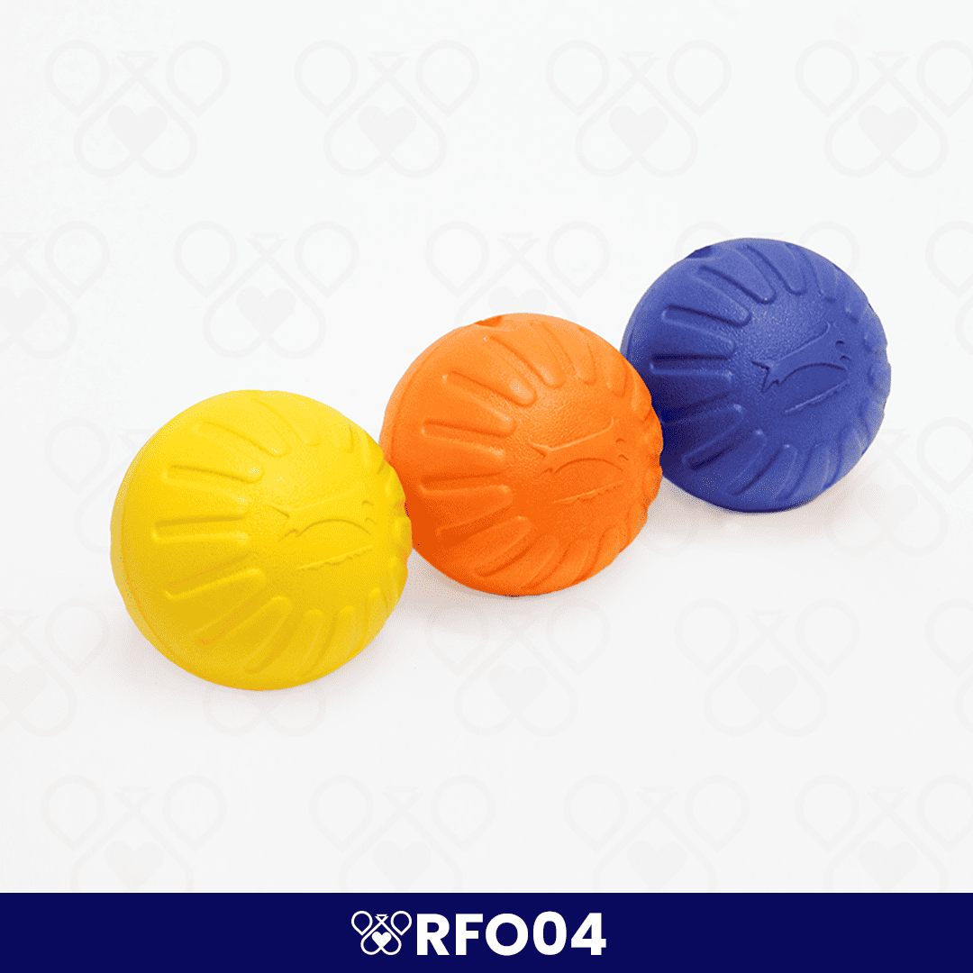 RFO04