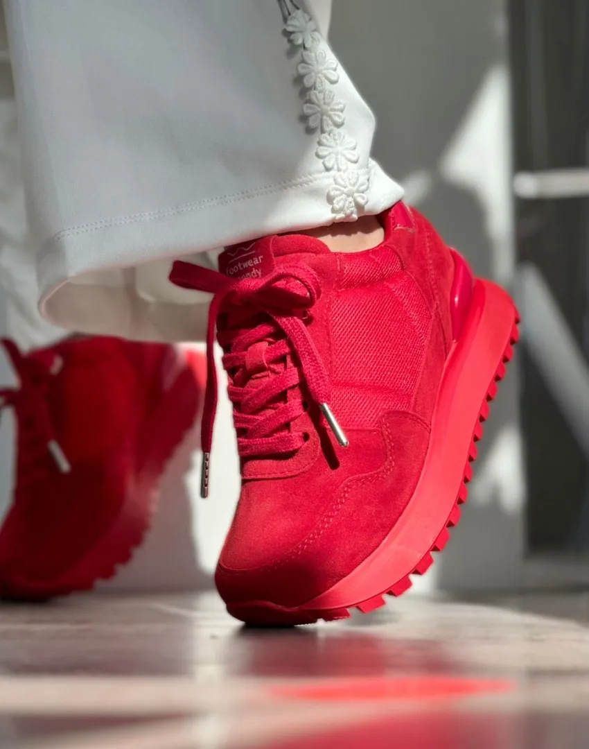 1669 rojo