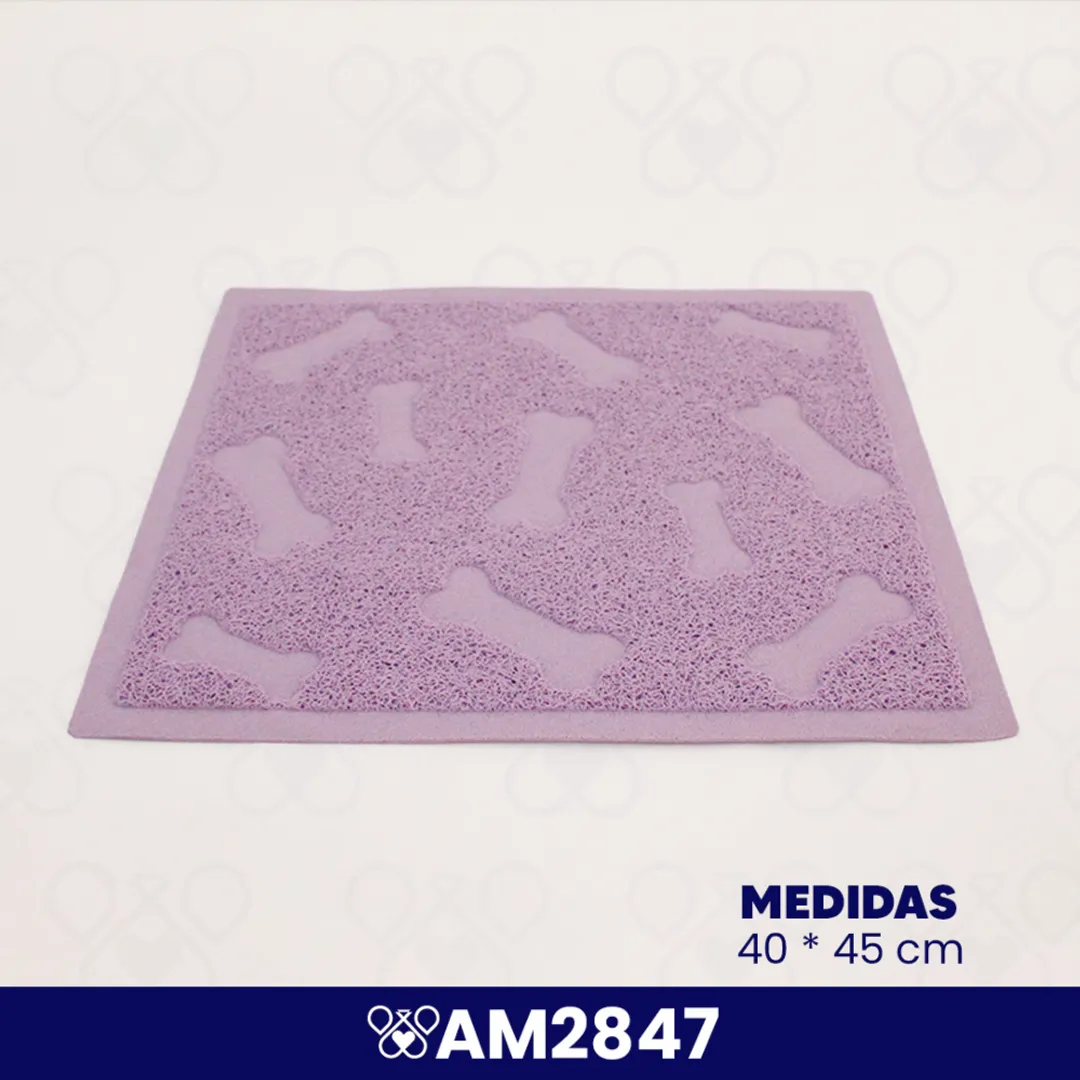AM2847