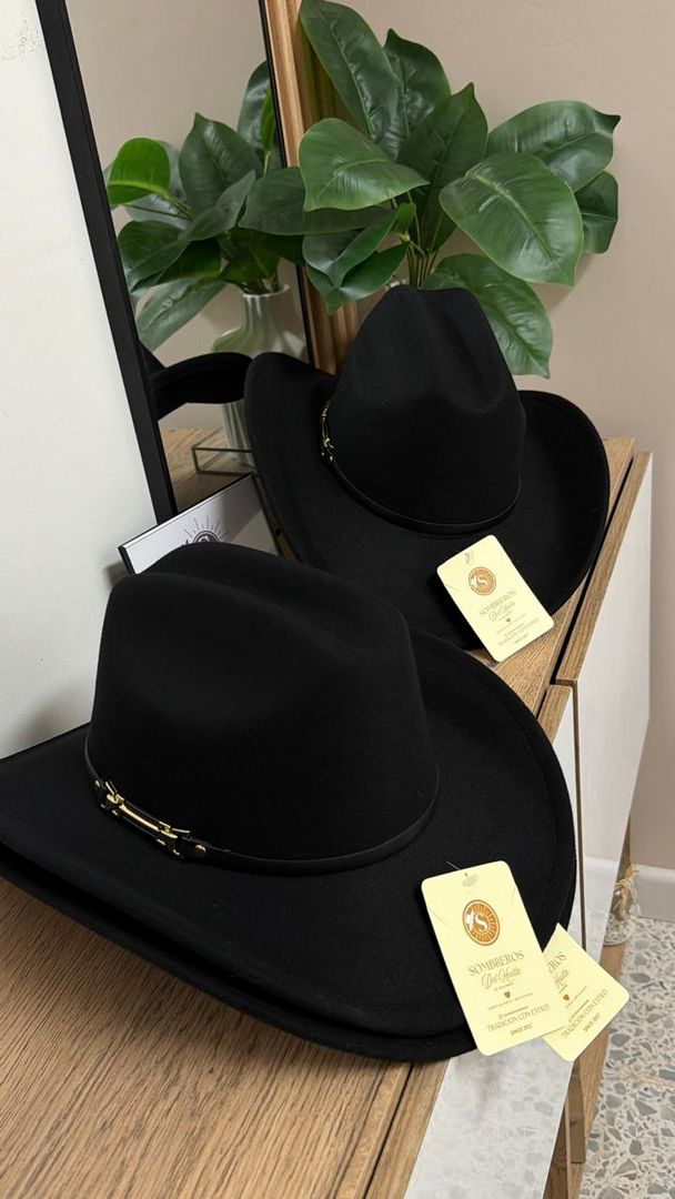 SOMBRERO TIPO FIELTRO 1