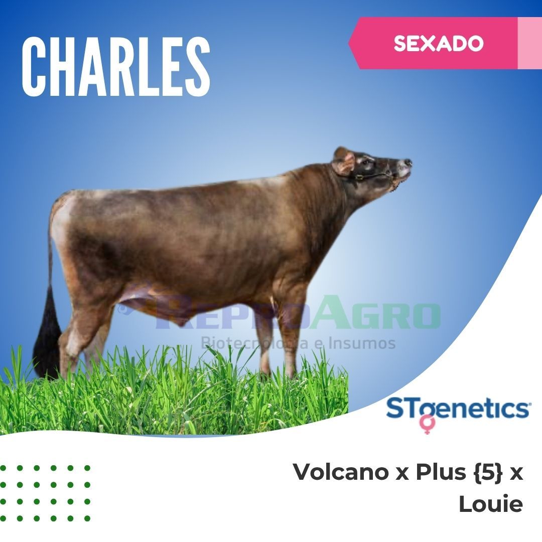 CHARLES SEXADO
