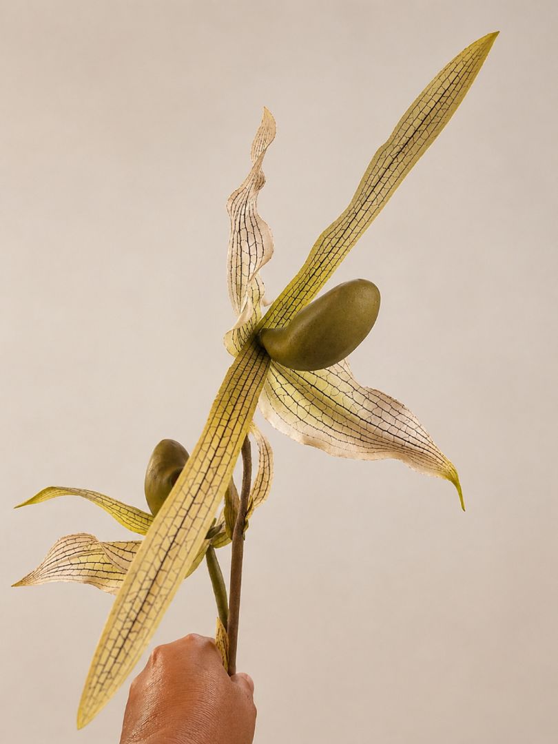 Vara Orquídea Exótica 