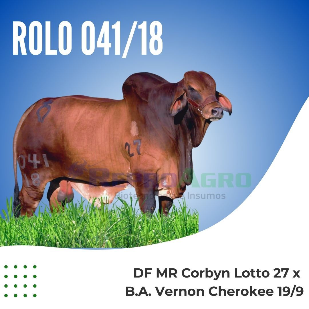 ROLO 041/18