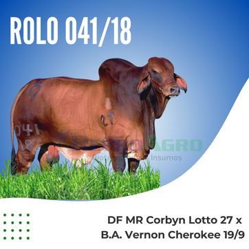 ROLO 041/18 - imagen 1