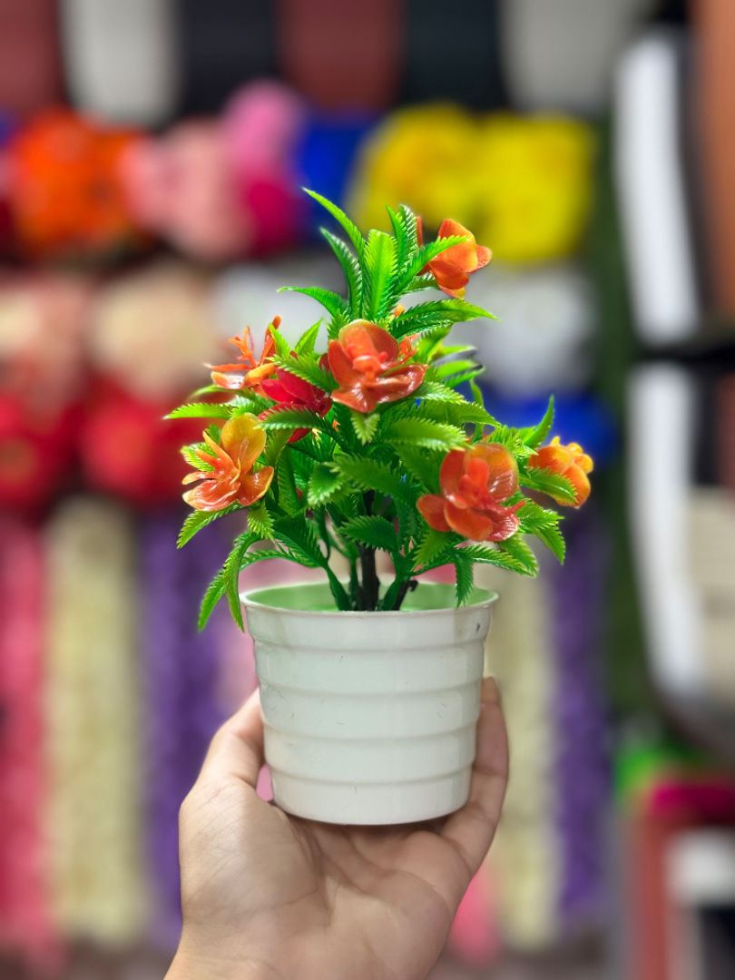 Atardecer Floral