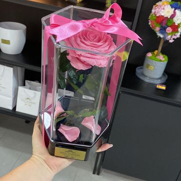 Imagen del producto SOLITARIO HEXAGONAL