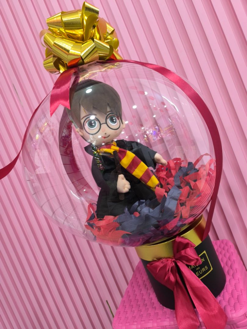 ENCAPSULADO DE HARRY POTTER 