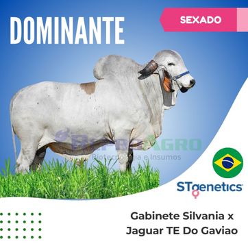 DOMINANTE SEXADO - imagen 1
