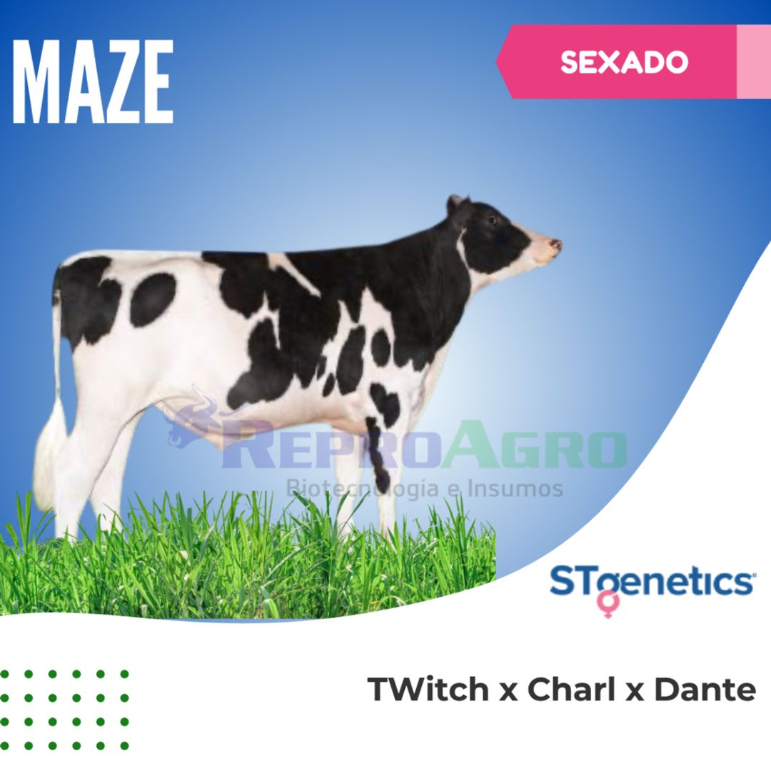 MAZE SEXADO