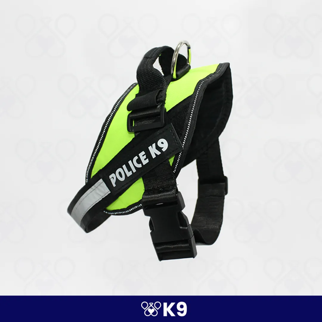 K9-